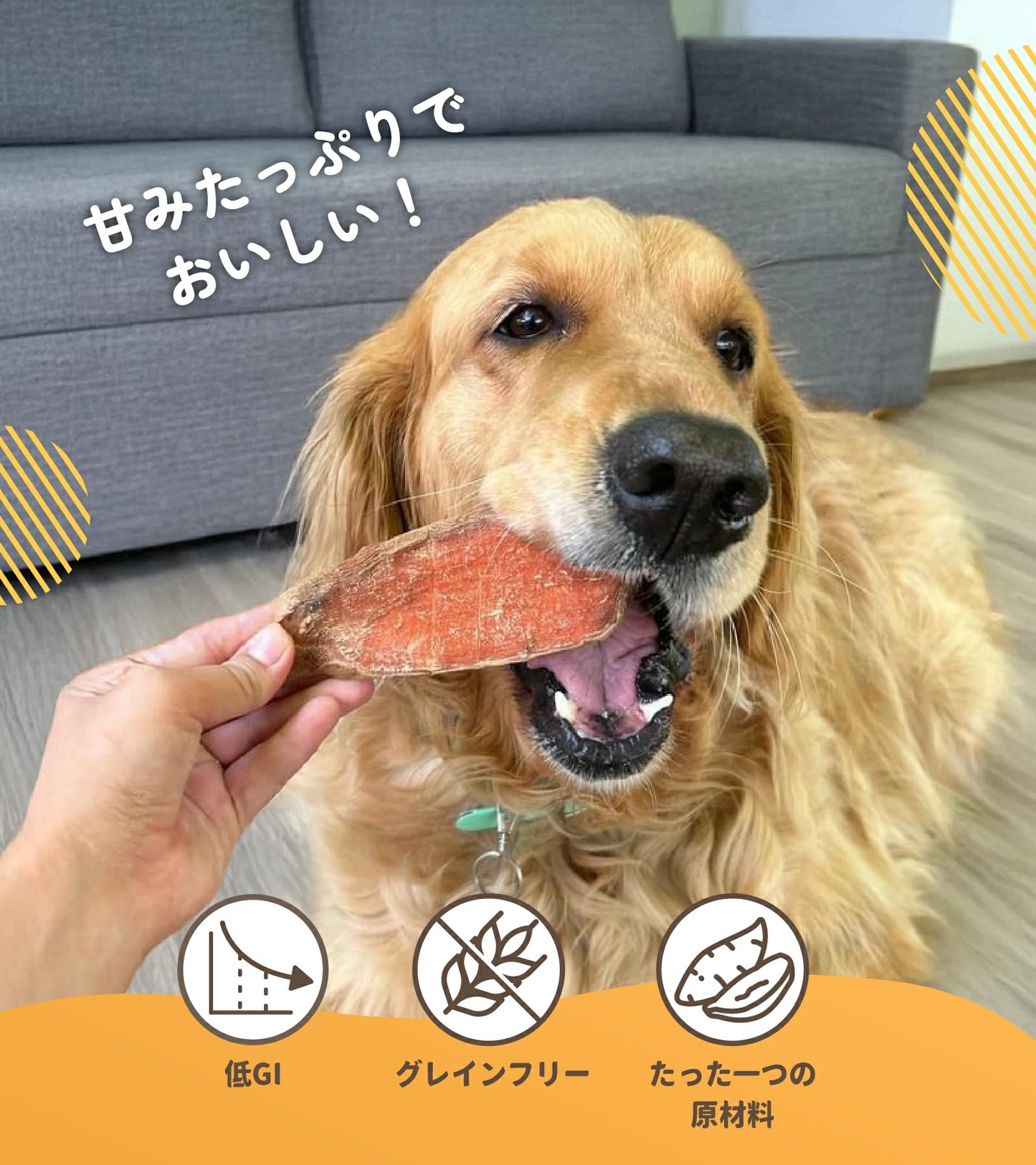 【新商品】iPaw THE スイートポテト 調味料無添加 100g