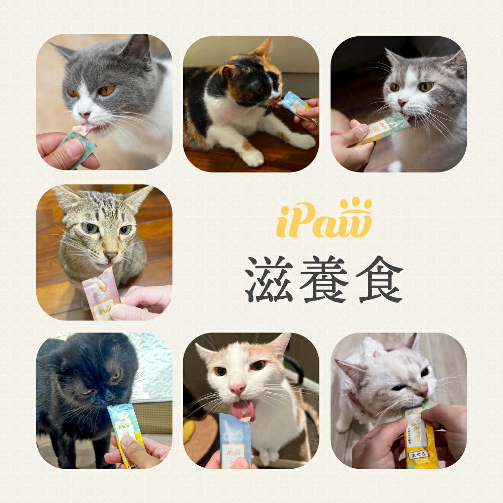 【新発売】滋養 ピューレ かつお&アガリクス 漢方食材配合 6本入り