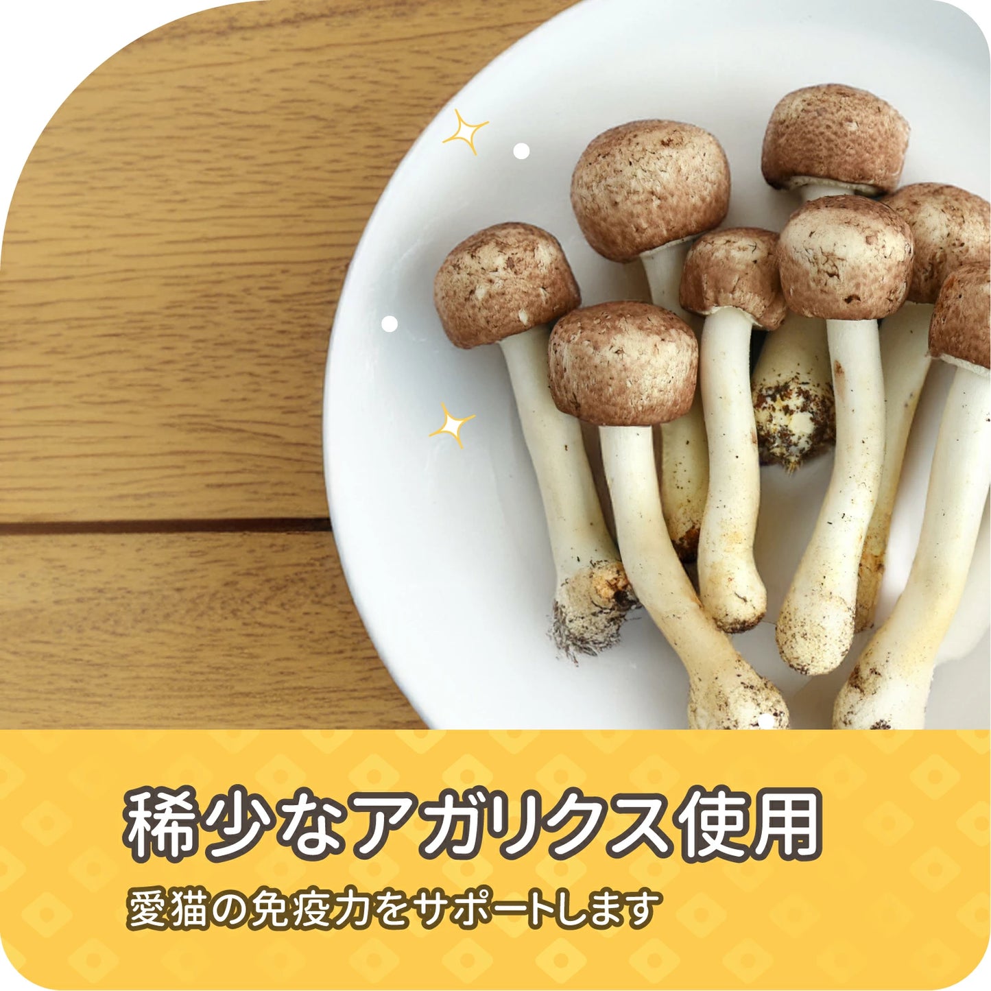 【新発売】滋養 ピューレ かつお&アガリクス 漢方食材配合 6本入り