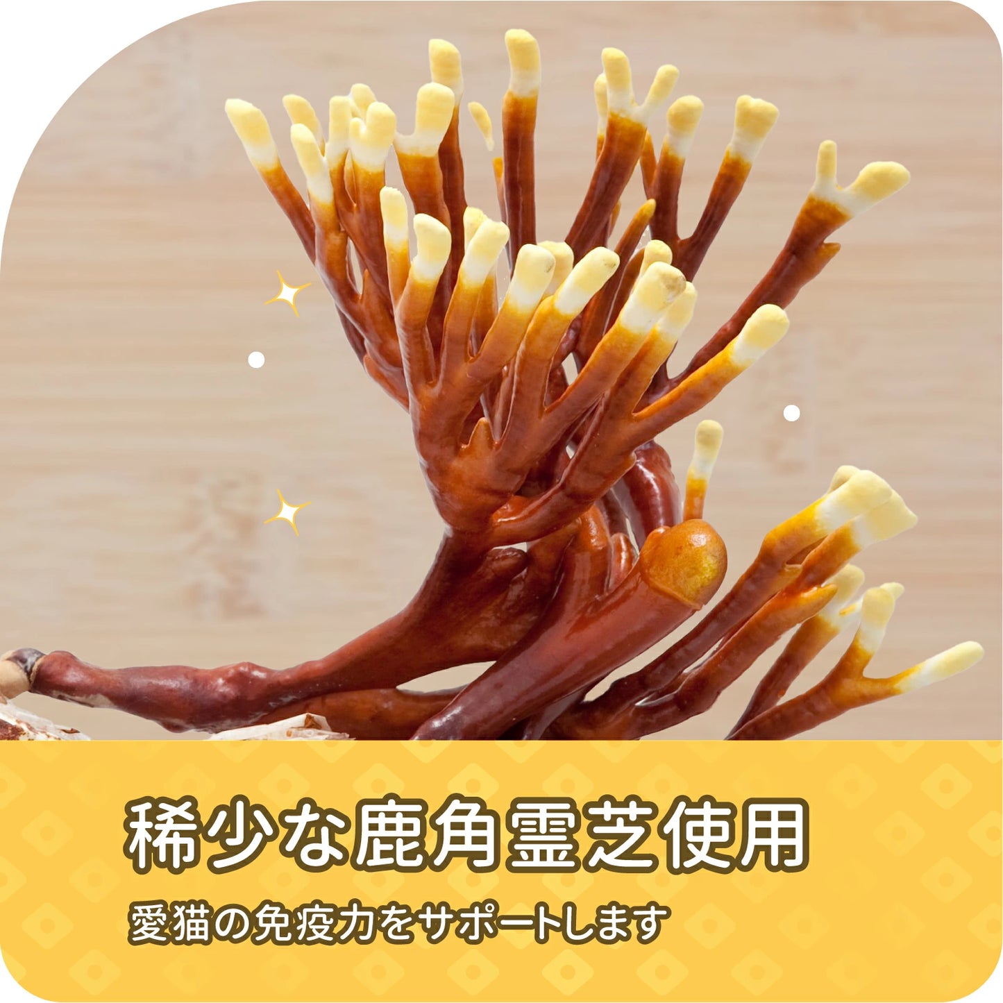 【新発売】滋養 ピューレ バラエティパック 漢方食材配合 6本入り