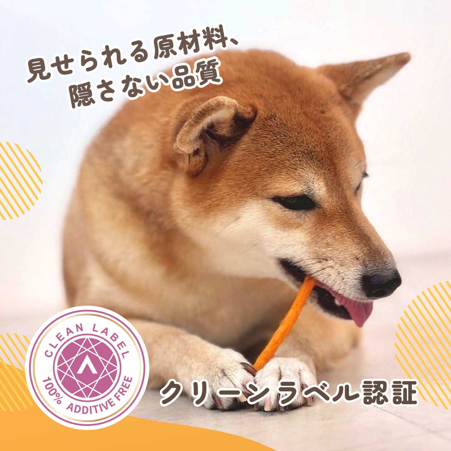 iPaw さつまいもスティック 100g（＠yomogi5.5コラボ中！）