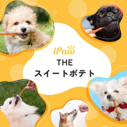 iPaw さつまいもスティック 100g（＠yomogi5.5コラボ中！）