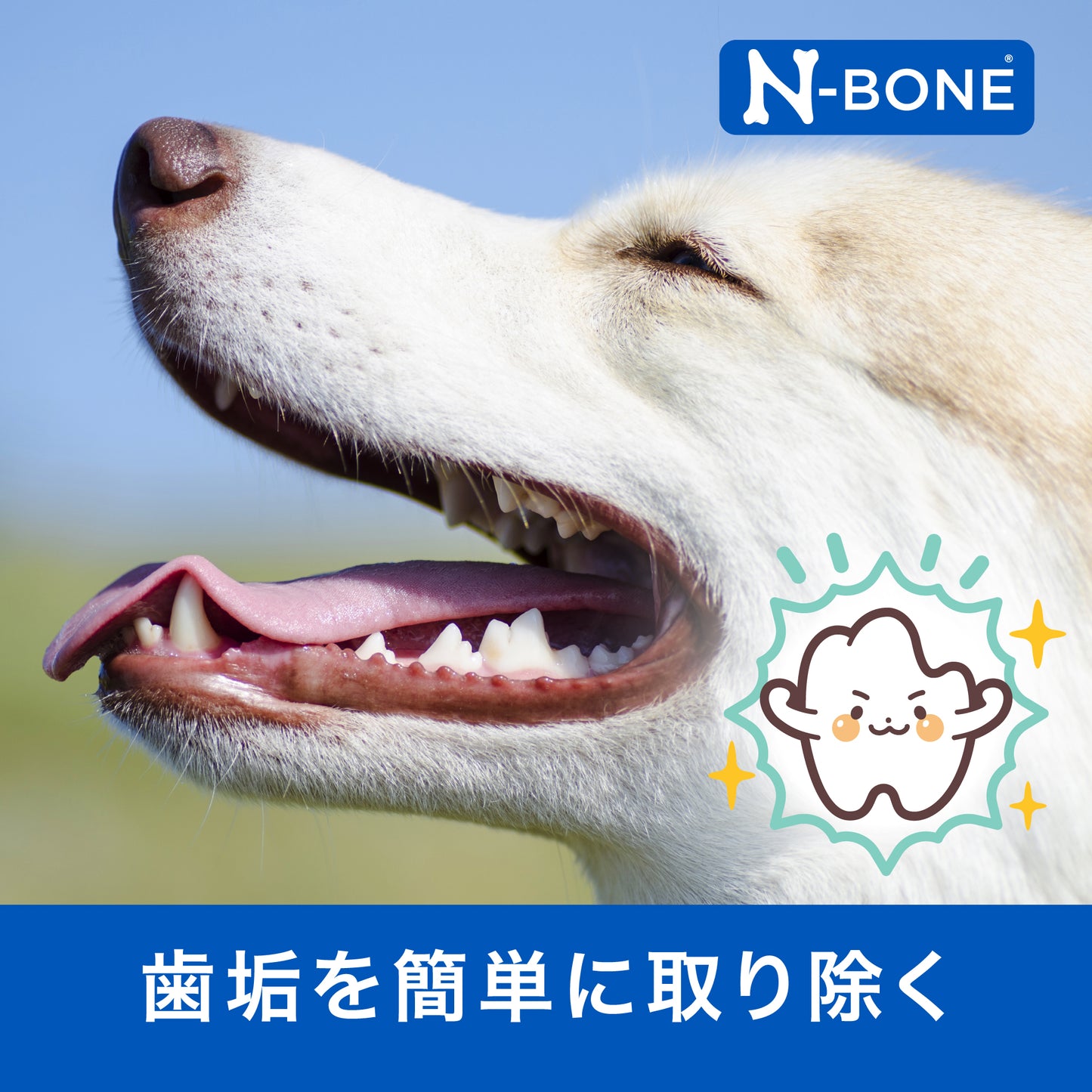 N-BONE 犬用歯みがきリング  7個入り 130g NBONE