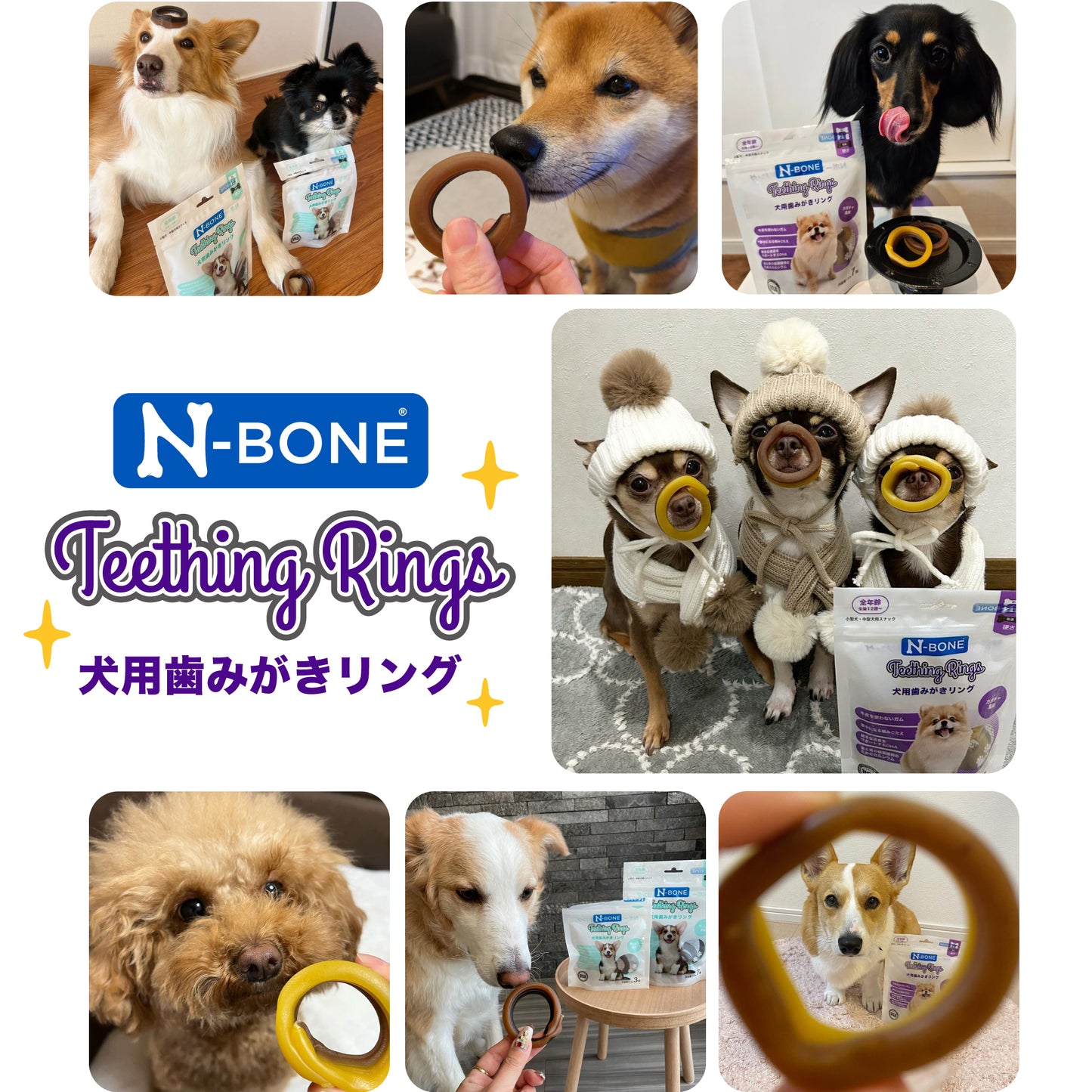 N-BONE 犬用歯みがきリング  7個入り 130g NBONE