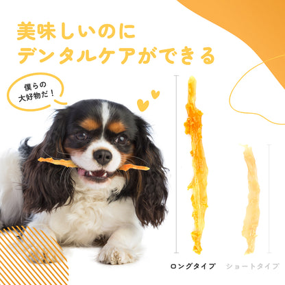 【新発売】iPaw ターキーアキレス(ロング) 75g 七面鳥 犬おやつ