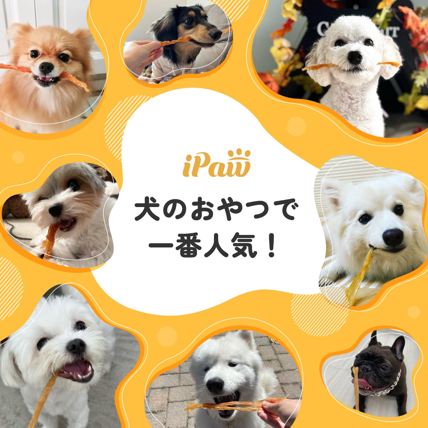 【新発売】iPaw ターキーアキレス(ショット) 35g 七面鳥 犬おやつ